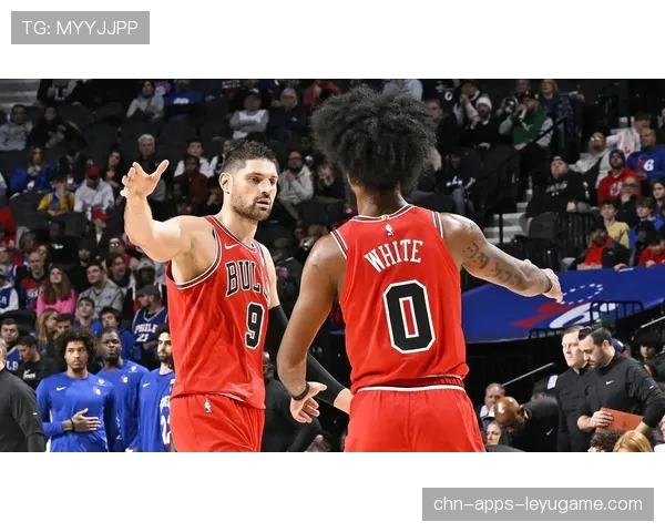 公牛队奋勇追击，争取晋级季后赛，公牛队进季后赛